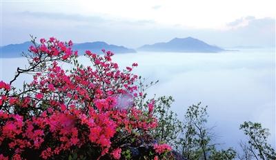 山花烂漫， 你是昨夜晓凤.